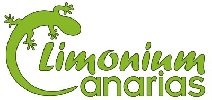 Limonium Canarias, SL - Actividades de aventura en Las Palmas de Gran Canaria - Las Palmas