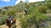 Gredos Ecuestre - Rutas en caballo en Arenas de San Pedro - �vila