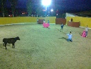 Grupo FES-TAURO - Deportes de aventura en Villamanta - Madrid