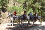 Rutas a Caballo Palmali - Deportes de aventura en Albu�uelas - Granada