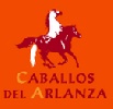 Paseos en caballo Burgos - Caballos del Arlanza