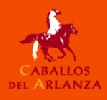 Paseos en caballo Burgos - Caballos del Arlanza