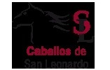Paseos en caballo Burgos - Caballos de San Leonardo