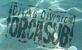 Diving Division Orcasub - Deportes de aventura en Sant Francesc de Formentera - Ibiza