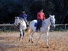 Equinatur - Deportes de aventura en Seriny� - Girona