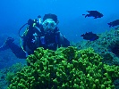 Deportes de aventura Las Palmas - Pozo Scuba
