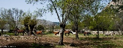 Cabalcampo - Deportes de aventura en La Cabrera - Madrid