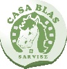 Despedidas de soltero Arag�n - Caballos Casa Blas