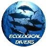 Club de Buceo Ecological Divers - Deportes de aventura en Puerto de G��mar - Tenerife