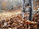 Btt -Tours - Mountain bike en Sitges - Barcelona