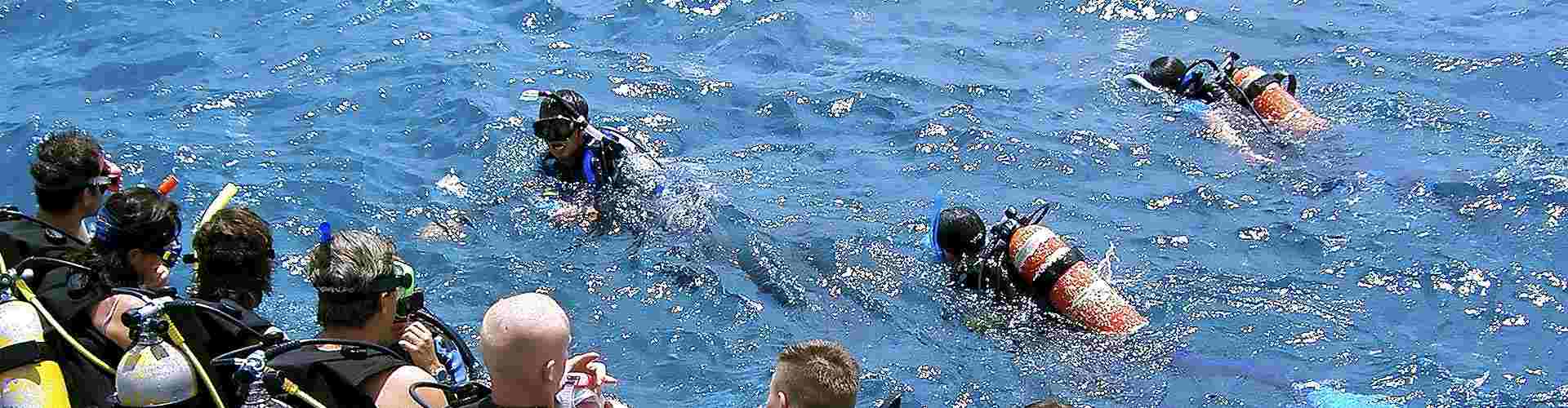 Buceo en La Herradura