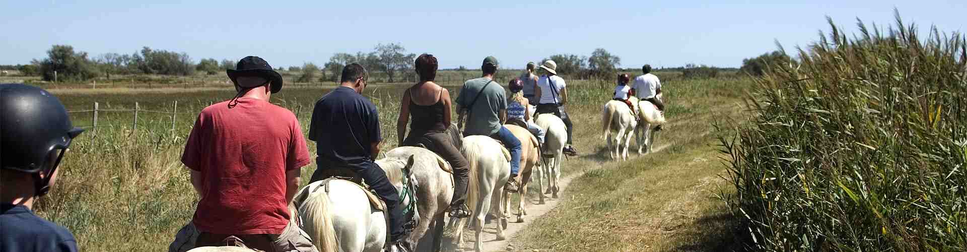 Paseos en caballo en La Herradura