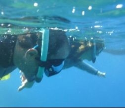 Snorkel en las Islas Medas