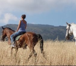 Paseo a Caballo