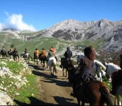 Excursión a caballo 1