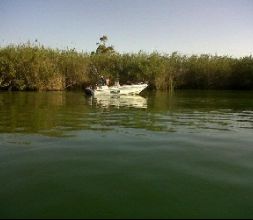 pesca todo el año en el rio Ebro