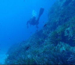 Buceo en Cabo de Gata