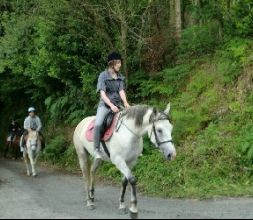 Paseos y rutas a caballo