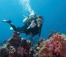 Cursos de buceo