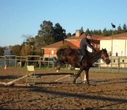 Trabajando en el picadero