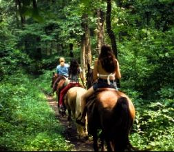 Salidas en caballo