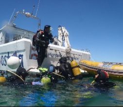 Cursos de buceo