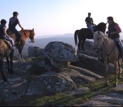 Paseos a caballo