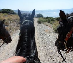 Rutas en caballo por Andalucía