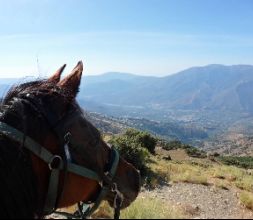 Paseos en caballo en Las Alpujarras