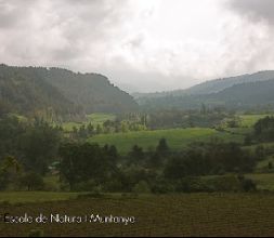 Escuela de naturaleza