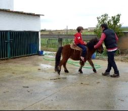 PASEOS EN PONY