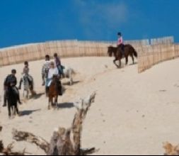 Rutas a caballo por la playa