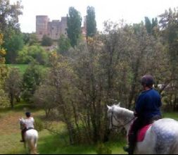 Paseos a caballo