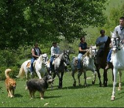 Rutas y excursiones a caballo