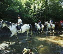 Rutas a caballo
