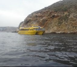 NAUTILUS ISLAS MEDAS