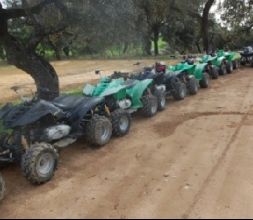 Quads en Sevilla