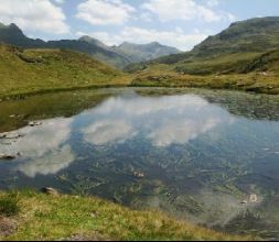 Estany de Liat (Val d'Aran)