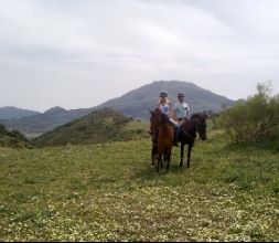 Paseos a caballo