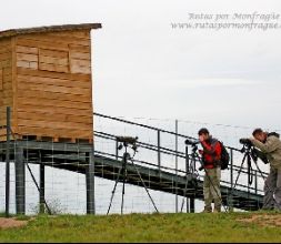 Observación de Aves. Birding.