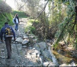 Senderismo y Nordic Walking