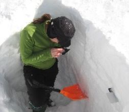 Lectura de nieve en los programas