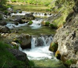 Excursiones