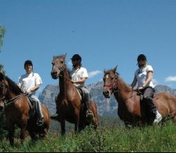 Paseos a caballo