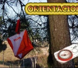 Orientación