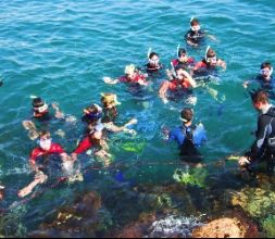 Snorkel - AlmerÃ­a Vertical