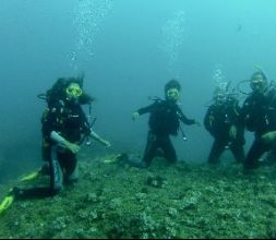 Cursos de buceo