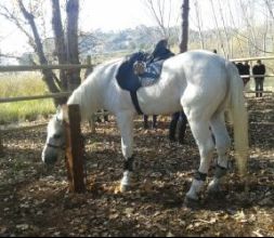 Rutas a caballo