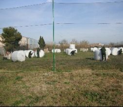 Paintball Figueres