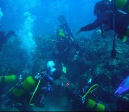 salida de buceo